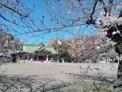 大阪護國神社の自然