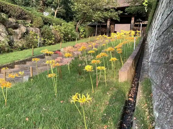 横浜 西方寺の庭園