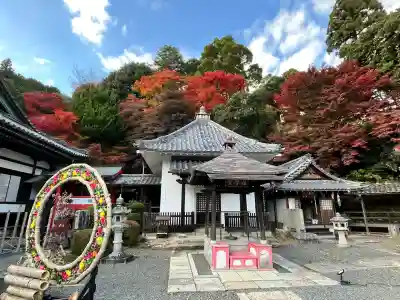 柳谷観音　楊谷寺(京都府)