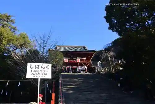 鶴岡八幡宮の初詣