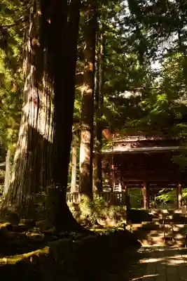 宝積山光前寺(長野県)