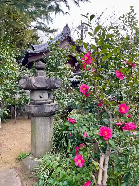 玄国寺(東京都)