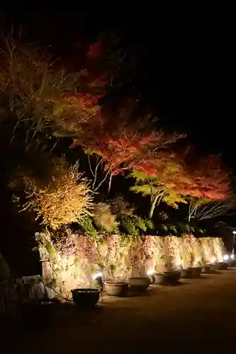 善水寺(滋賀県)