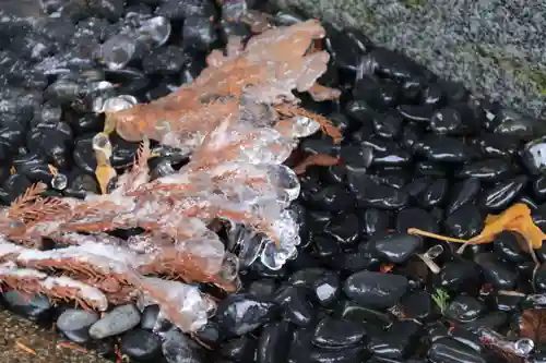 高司神社〜むすびの神の鎮まる社〜の手水