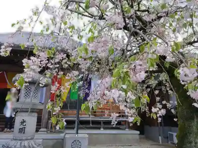 来昌寺(岐阜県)