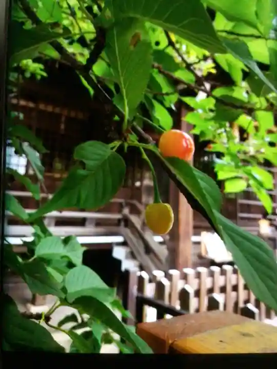 新宿下落合氷川神社(東京都)