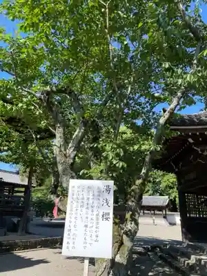 粉河寺(和歌山県)
