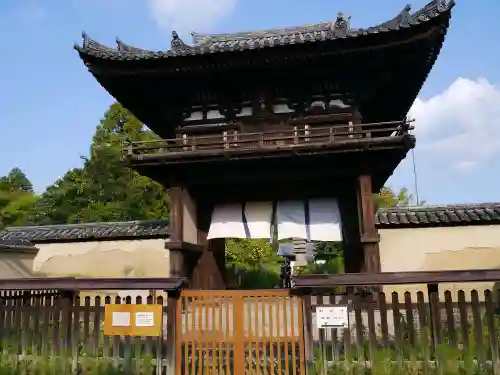 般若寺 ❁﻿コスモス寺❁の山門