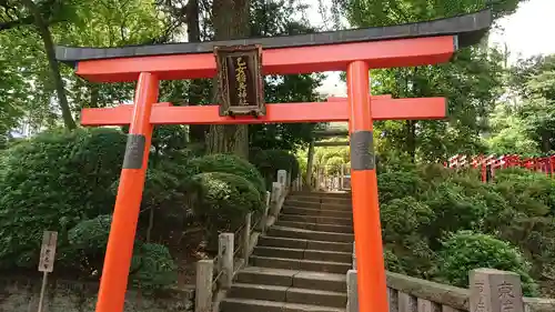 根津神社の鳥居