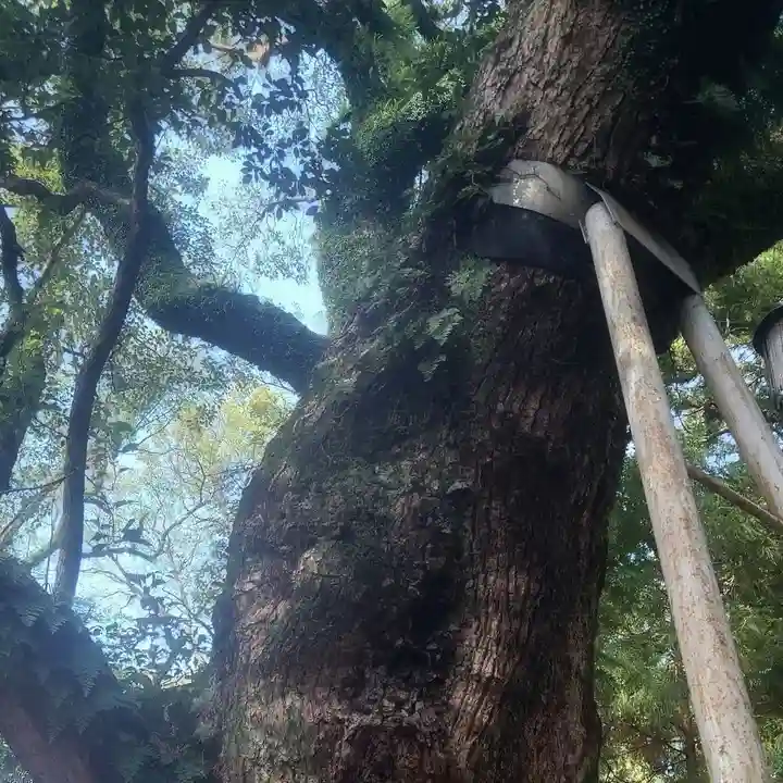 伊勢豊受稲荷神社(三重県)
