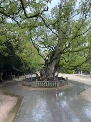 大山祇神社(愛媛県)