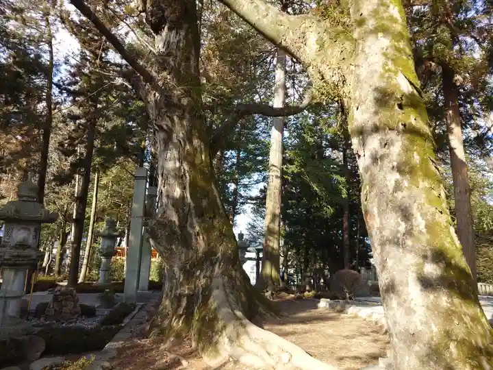 諏訪大社下社秋宮(長野県)