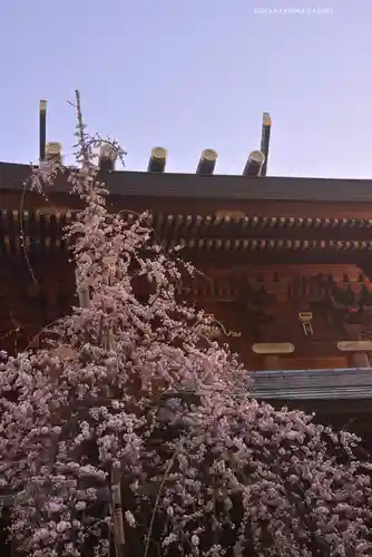 湯島天満宮(東京都)