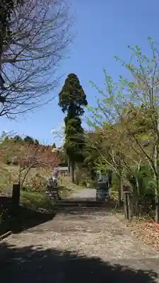 葉山神社の狛犬