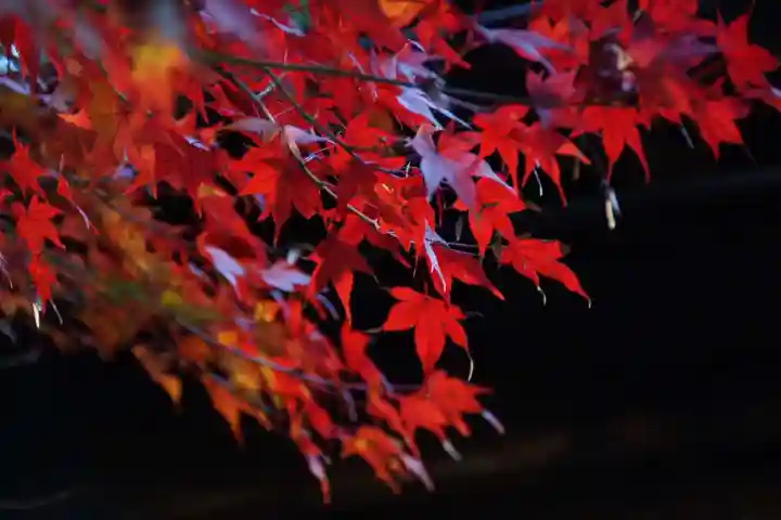 白龍神社(京都府)
