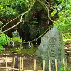 浜松八幡宮の自然