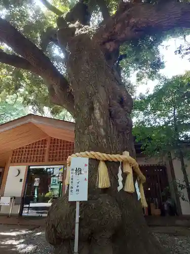 座間神社の庭園