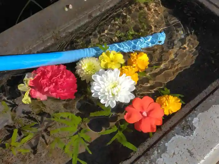 身代り不動尊 大明王院 川崎別格本山(神奈川県)