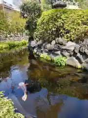 天祖諏訪神社の庭園