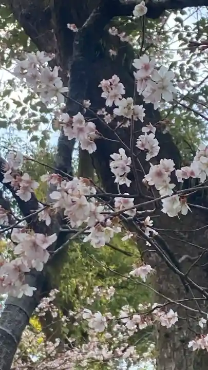 熱田神宮の{uncategorized: "未分類", other: "その他", undefined: "問題あり", building: "その他建物", grave: "お墓", sacred_gate: "鳥居", guardian: "狛犬", statue: "像", buddha: "仏像", history: "歴史", nature: "自然", garden: "庭園", animal: "動物", pagoda: "塔", temizu: "手水舎", mountain_gate: "山門・神門", sanctuary: "本殿・本堂", subordinate: "末社・摂社", art: "芸術", scenery: "景色", jizo: "地蔵", ema: "絵馬", goshuin: "御朱印", omikuji: "おみくじ", items: "授与品その他", amulet: "お守り", goshuincho: "御朱印帳", eats: "食事", festival: "お祭り", votive_dance: "神楽", shichigosan: "七五三参", wedding: "結婚式", experience: "体験その他", initially: "初詣", around: "周辺", anti_infection: "感染症対策"}