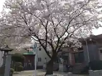 春日神社(福井県)
