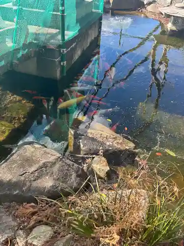 市杵島神社（高萩八幡宮境内社）(茨城県)
