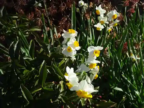 横浜　西方寺の自然