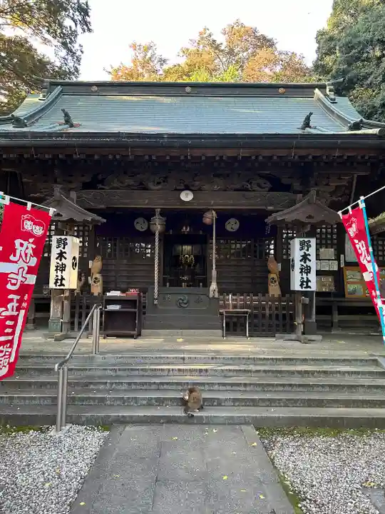 野木神社の本殿・本堂