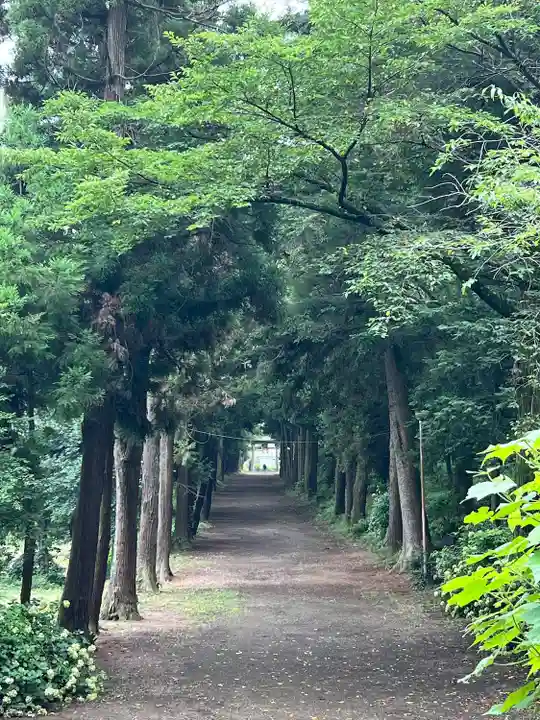 千代ケ岡八幡宮(栃木県)