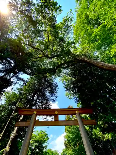 武水別神社の鳥居