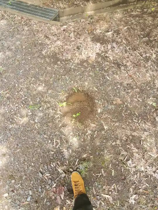 千手院(茨城県)