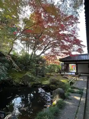 榮攝院（栄摂院）(京都府)