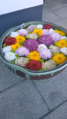 円珠院の{uncategorized: "未分類", other: "その他", undefined: "問題あり", building: "その他建物", grave: "お墓", sacred_gate: "鳥居", guardian: "狛犬", statue: "像", buddha: "仏像", history: "歴史", nature: "自然", garden: "庭園", animal: "動物", pagoda: "塔", temizu: "手水舎", mountain_gate: "山門・神門", sanctuary: "本殿・本堂", subordinate: "末社・摂社", art: "芸術", scenery: "景色", jizo: "地蔵", ema: "絵馬", goshuin: "御朱印", omikuji: "おみくじ", items: "授与品その他", amulet: "お守り", goshuincho: "御朱印帳", eats: "食事", festival: "お祭り", votive_dance: "神楽", shichigosan: "七五三参", wedding: "結婚式", experience: "体験その他", initially: "初詣", around: "周辺", anti_infection: "感染症対策"}