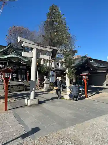 川越八幡宮(埼玉県)