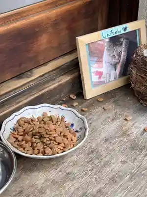 法案寺南坊の動物