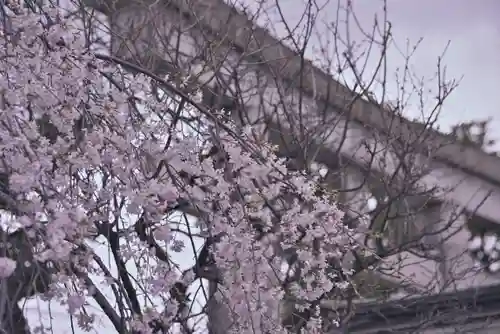 尾久八幡神社(東京都)