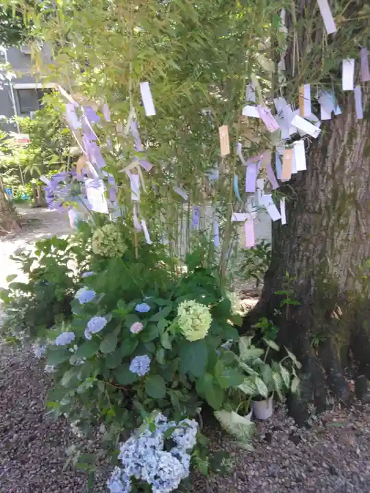 蛇窪神社(東京都)