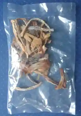 亀田龍神社(北海道)