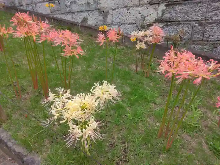 横浜 西方寺(神奈川県)