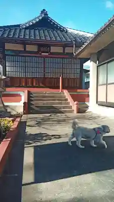 法界寺(山梨県)