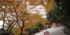 賀茂御祖神社（下鴨神社）(京都府)