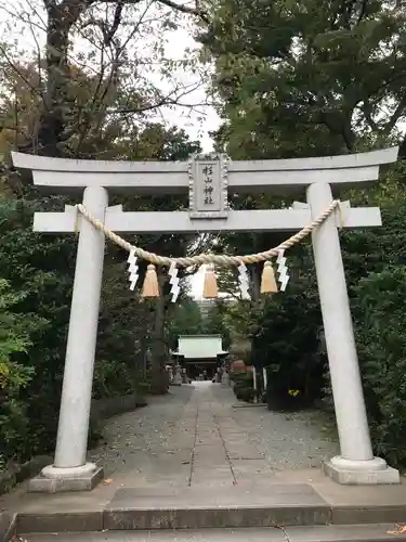 星川杉山神社の鳥居