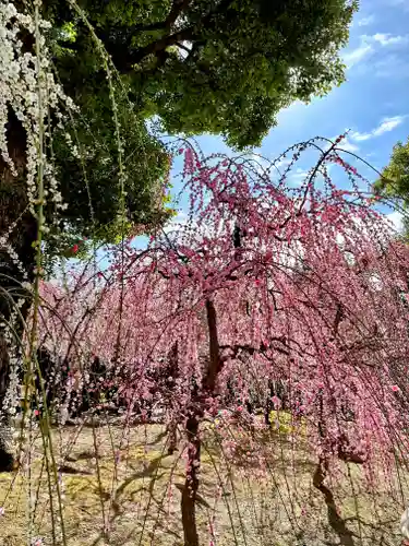 城南宮(京都府)
