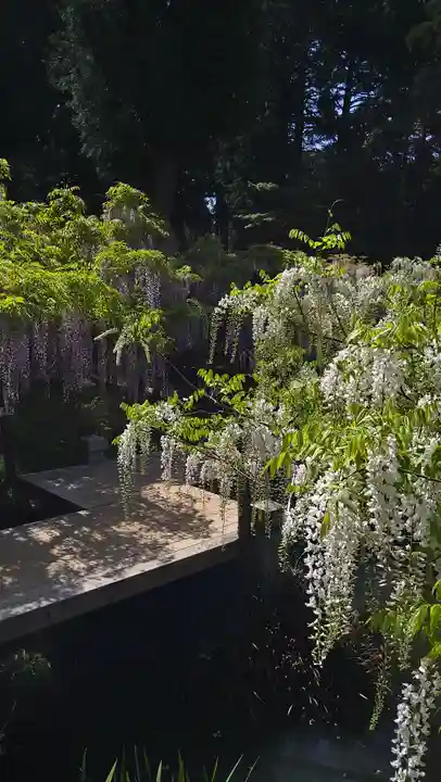 歌泉堂(春日大社神苑萬葉植物園内鎮座)(奈良県)