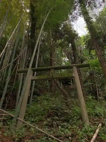 神社(名称不明)の鳥居