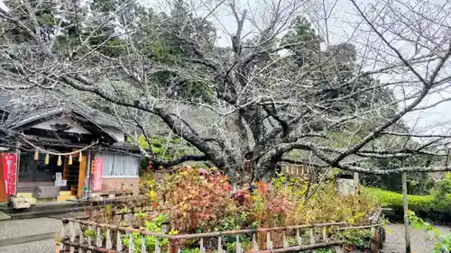 真野寺(千葉県)