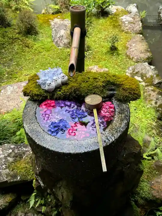 柳谷観音 楊谷寺(京都府)