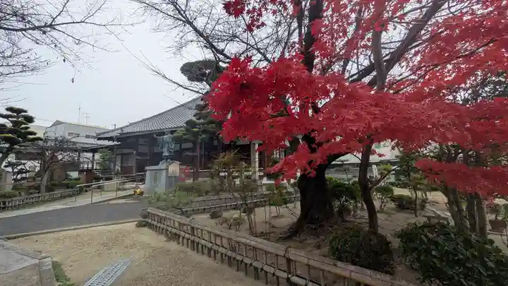 墨染寺(桜寺)(京都府)