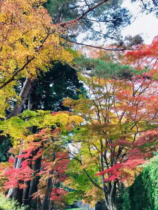 中尊寺本堂の自然