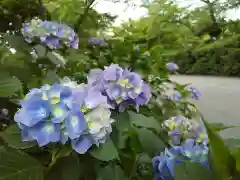 足羽神社の自然